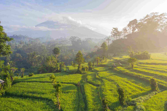 A sunrise in Indonesia, home to many kratom farms.