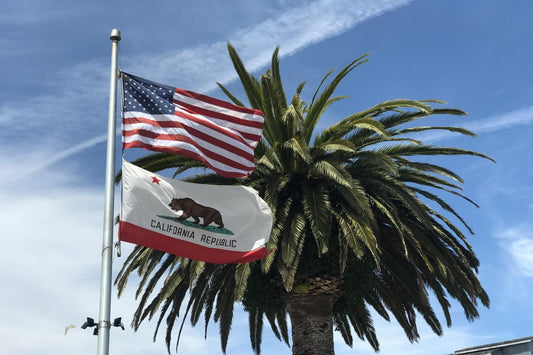 U.S. flag and California flag on a pole with palm tree in background