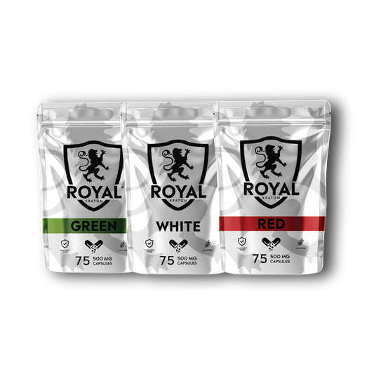 Beginner Capsule Bundle