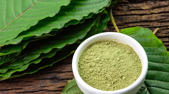 Bowl of kratom powder sits on table with leaves