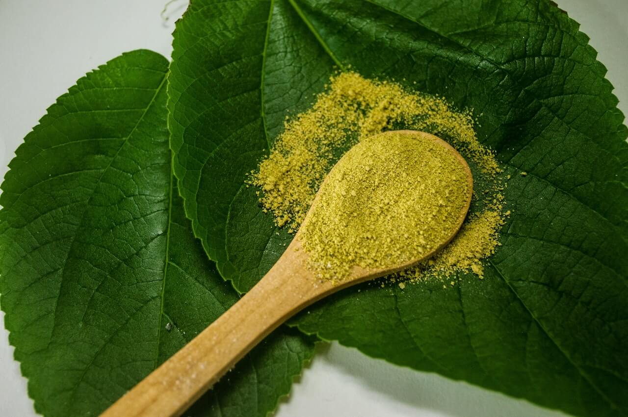 A spoon of kratom powder resting on two kratom leaves
