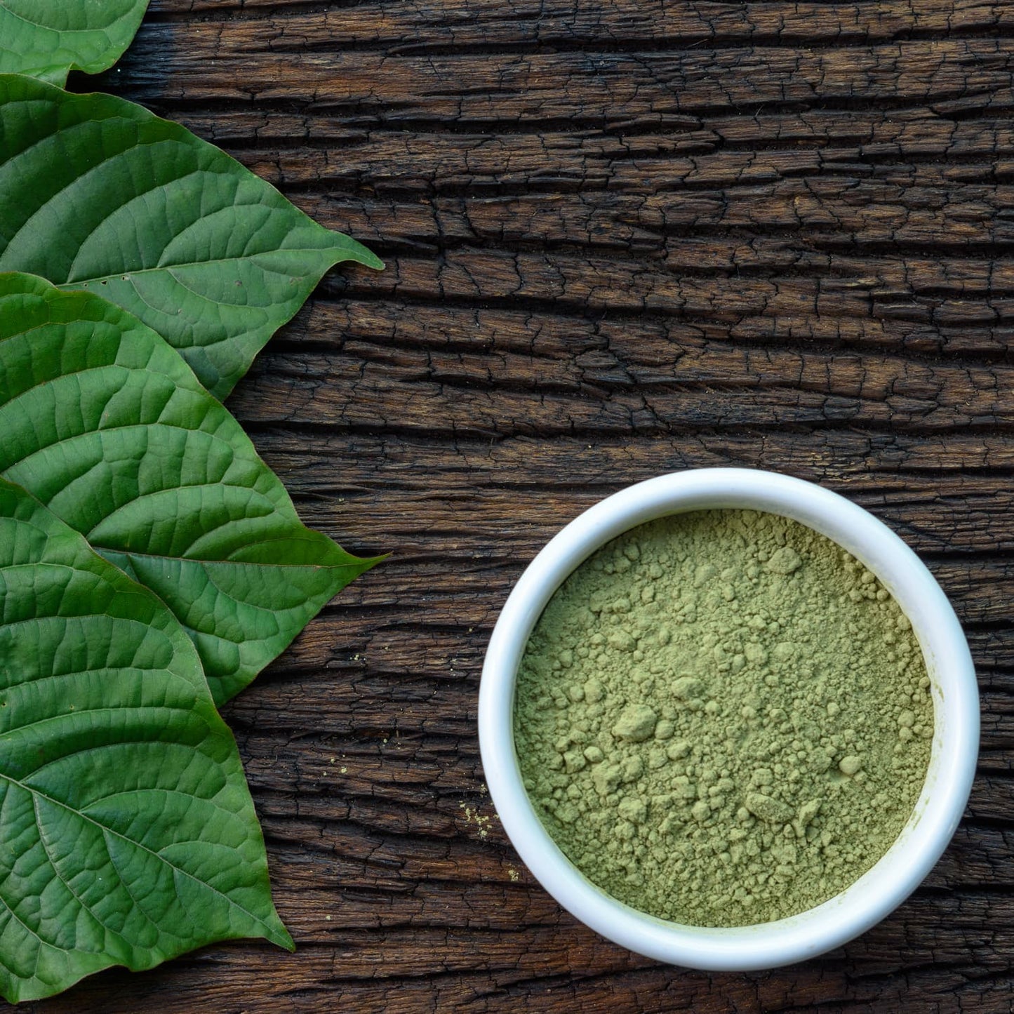 Kratom powder in a white bowl on wood next to green leaves