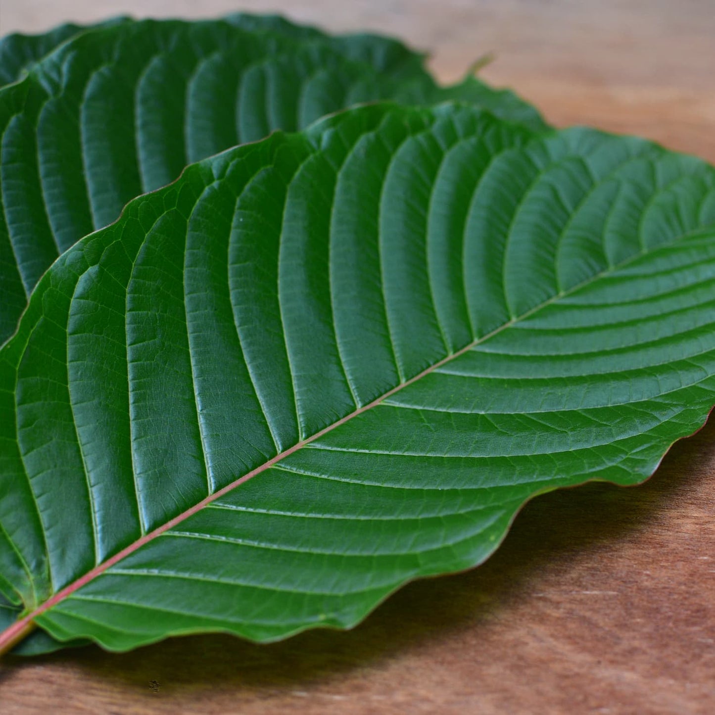 Two green leaves on a wooden surface