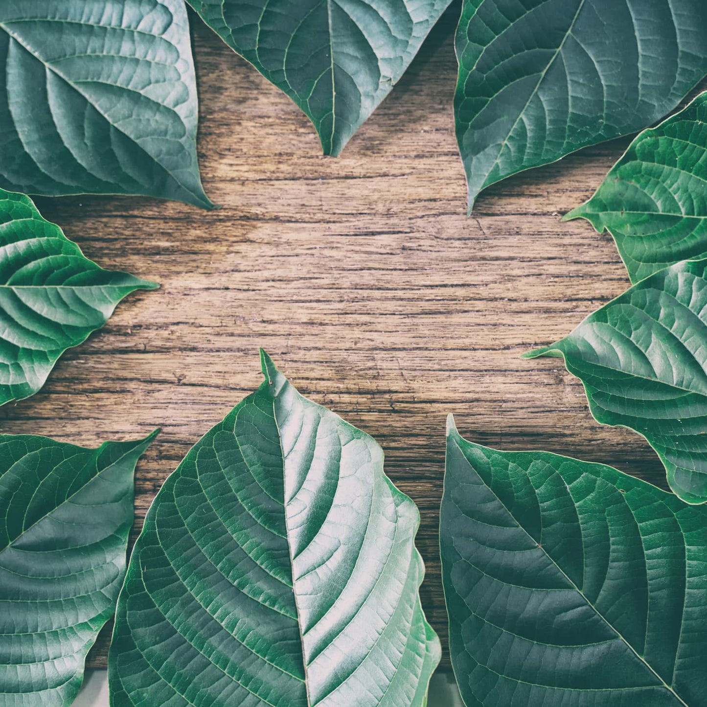 Nine leaves arranged in a circle on a wooden board